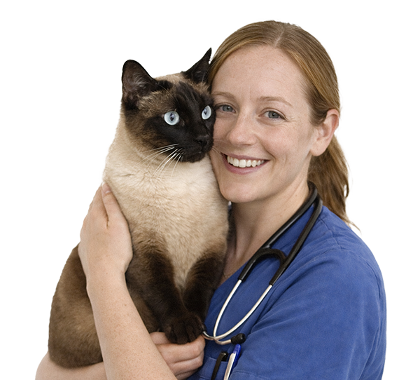 20260330 1658 image generation remix 01kmyzdmrhe9zs71an32k8v50m (1)